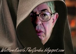 rui-pereira-star-wars