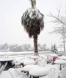 20090107phowww001601