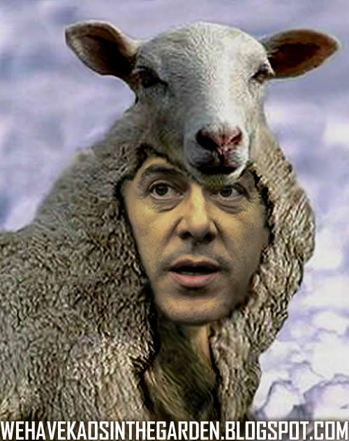 socrateslobocordeiro