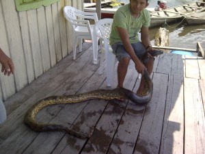 img-20130408-000797-e1366946810826