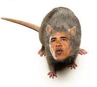 5815982517_ObamaRat_xlarge