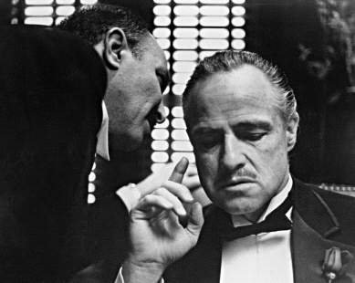 3050267661_1_3_tB2x2Zwt