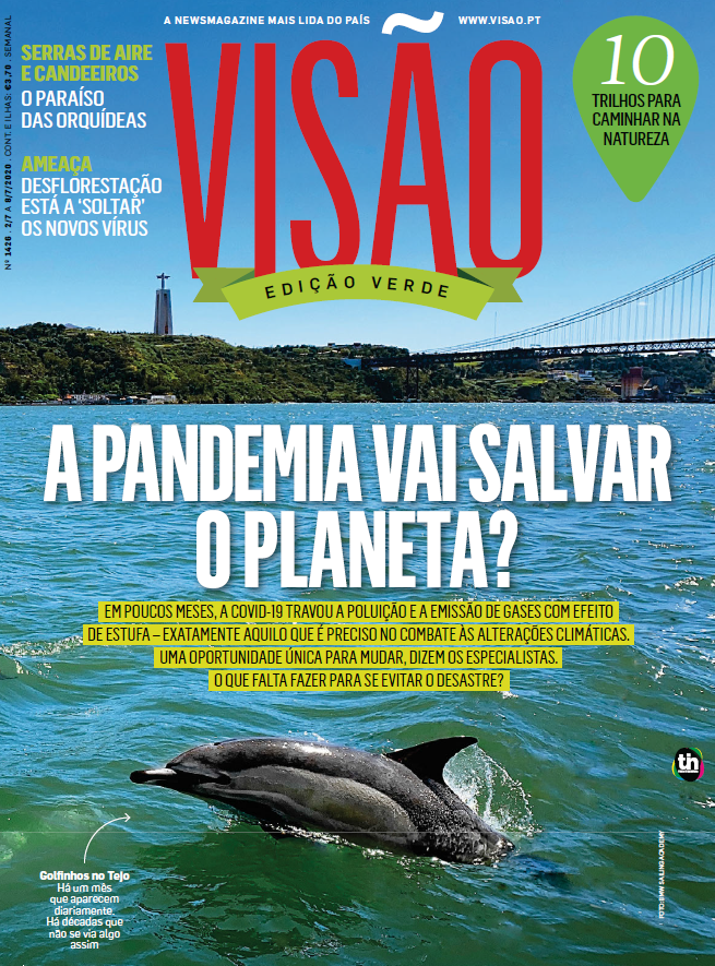 Visao-capa