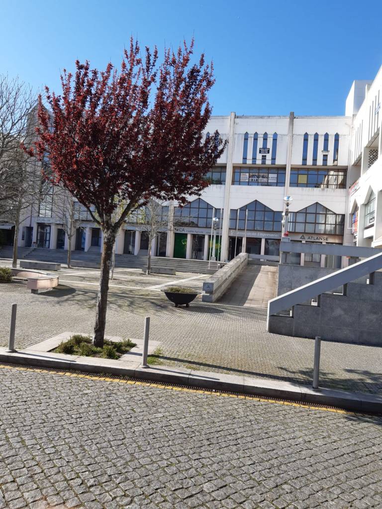 This image has an empty alt attribute; its file name is img-20210205-wa0122.jpg